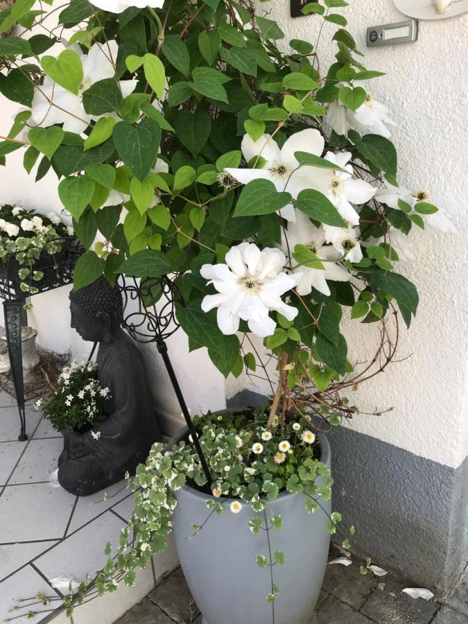Die Gemütlichkeit Bensheim Exterior foto